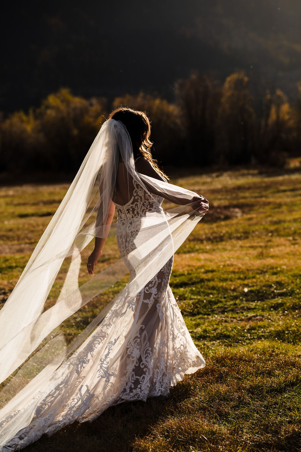A back-lit silhouette of the bride in a lace gown walking through a field at sunset, with her long wedding veil flowing beautifully behind her in the mountain breeze.
