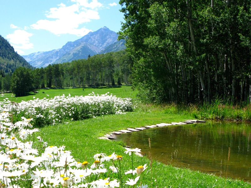 beautiful meadow in the foothills of the aspen colorado mountains
