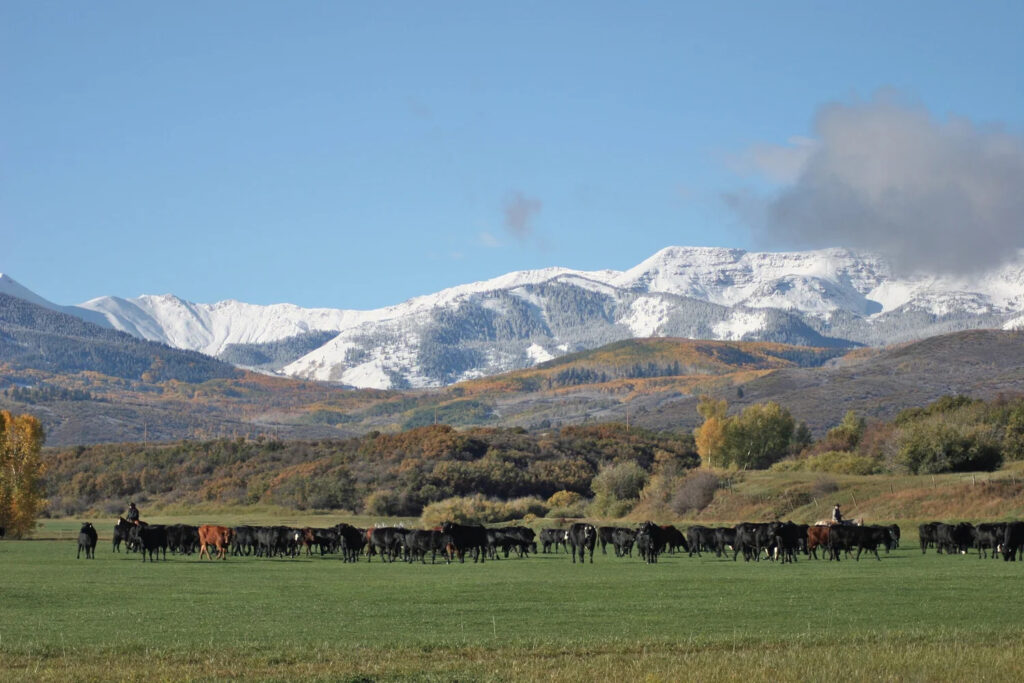 Scenic Aspen mountain wedding venue with cattle ranch views and snow-capped peaks in the background.