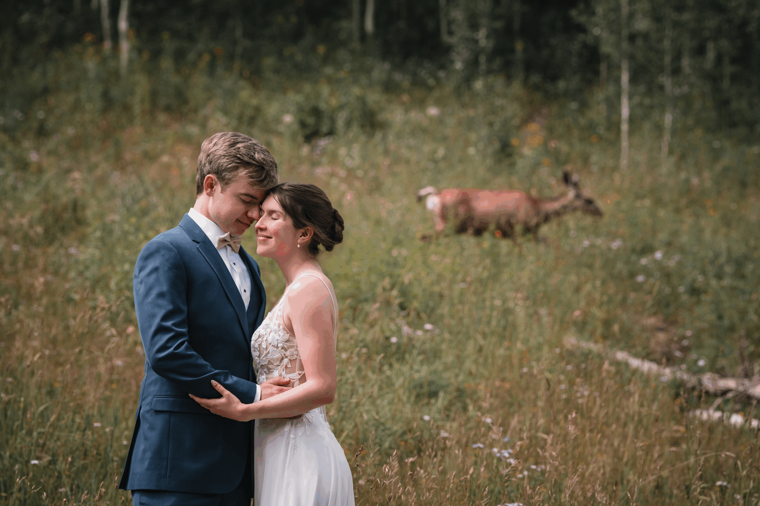 Bride and groom hugging in the wilderness with a deer in the background, creating a magical, serene moment.
