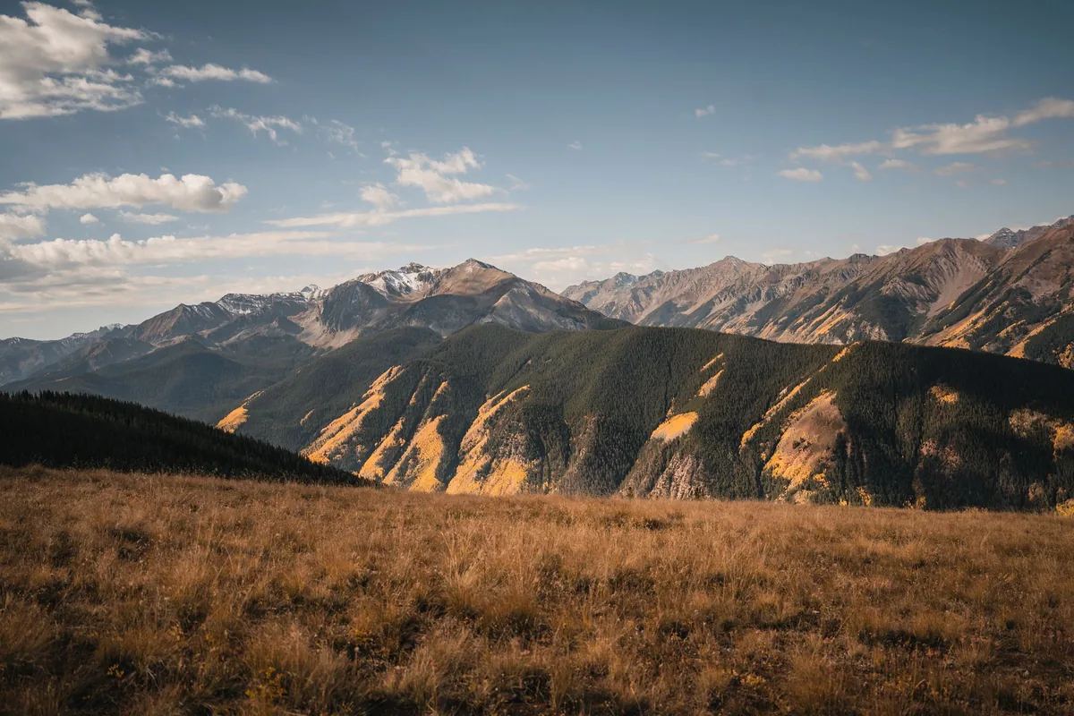 Alpine meadow and ridge view among fall aspens